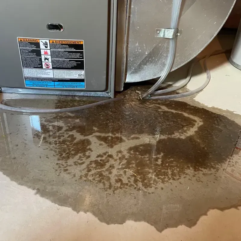 Appliance Leak Cleanup in Bryson City, NC